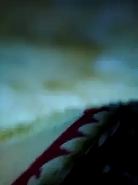 alone boy802 online show from 11-13-25, 03:38