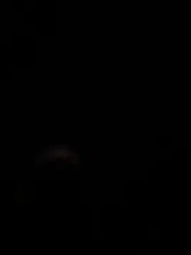 kazuma0708 jp online show from 03-12-26, 11:27