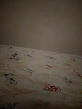 SALCEDO 041198 online show from 11-20-25, 11:32