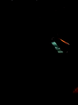 Gigolo31per31 online show from 10-18-25, 02:25