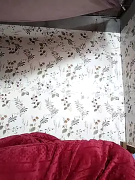 Snapshot of zhen-zo chatting on 11-25-25, 12:21 zhen-zo online show from 11-25-25, 12:21