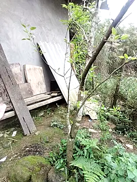 Snapshot of zhen-zo chatting on 03-19-26, 01:20 zhen-zo online show from 03-19-26, 01:20