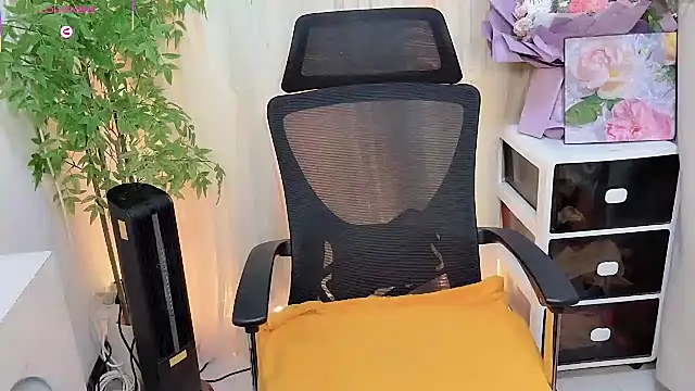 NEWONETO online show from 02-04-26, 12:55