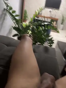 MCLZK online show from 11-01-25, 08:11