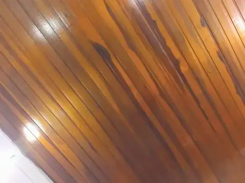 AliceCat 01 online show from 11-14-25, 04:33