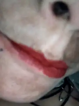 Snapshot of Na_shreya chatting on 02-01-26, 03:21 Na shreya online show from 02-01-26, 03:21