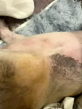 Beebeo00 online show from 10-06-25, 03:53