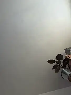 Snapshot of UnitedMap1 chatting on 11-20-25, 02:50 UnitedMap1 online show from 11-20-25, 02:50