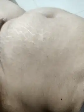 Sexy couple39 online show from 11-20-25, 04:40