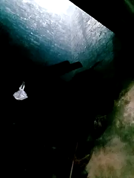 mntzz88 online show from 10-31-25, 04:24