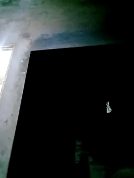 mntzz88 online show from 11-04-25, 11:53