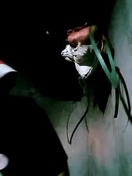 bae-bae online show from 11-06-25, 11:22