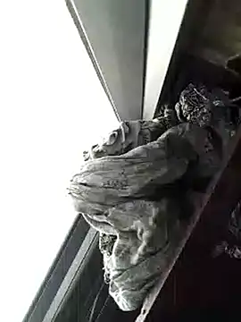 amanWildstalion online show from 11-08-25, 07:19