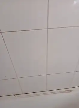 PhoningTint online show from 10-12-25, 03:22