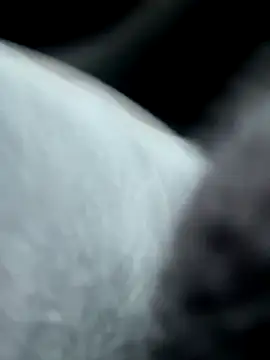 pleasedontpressaredburton online show from 10-14-25, 02:29