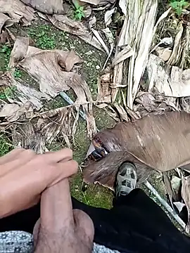 Sikici0734 online show from 11-13-25, 09:19