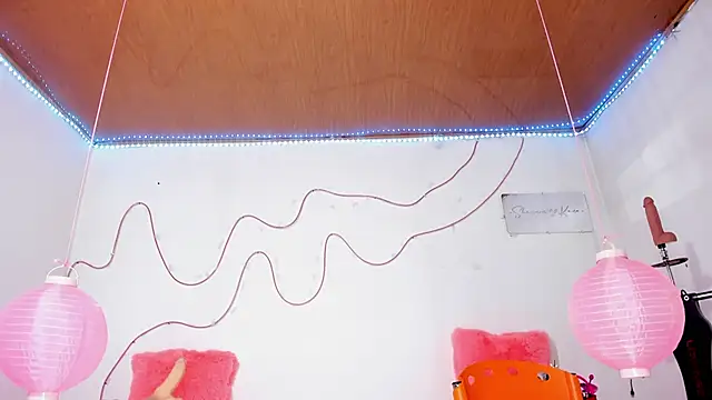 shannon kinne  online show from 11-12-25, 12:49