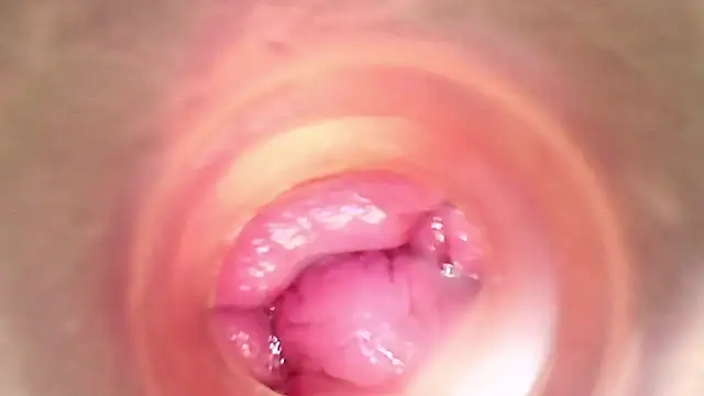 shannon kinne  online show from 03-29-26, 05:46