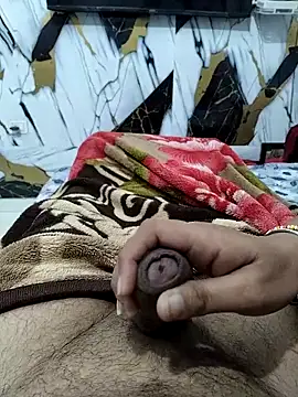 Nisha sonu couple online show from 11-17-25, 04:29