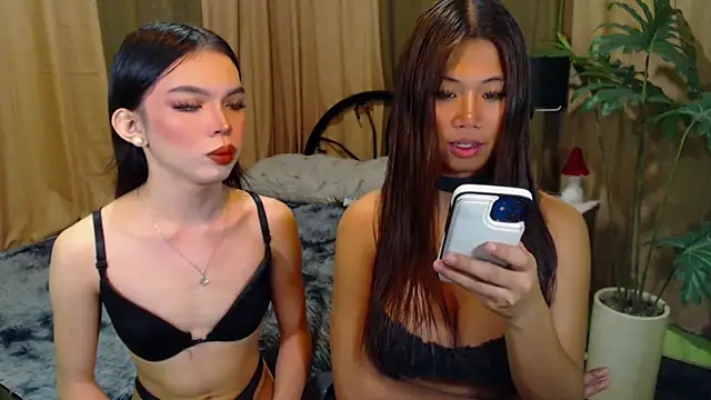 TWINKTRANSSHANEL online show from 10-12-25, 04:33