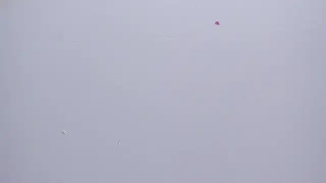 Malory  Jones online show from 01-16-26, 06:34