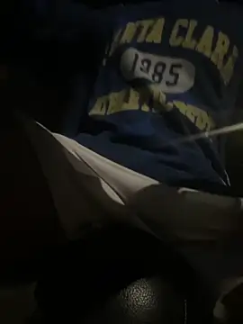 Snapshot of Wuza-H chatting on 11-13-25, 06:07 Wuza-H online show from 11-13-25, 06:07