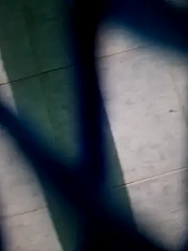 Neilhot98 online show from 11-16-25, 07:03