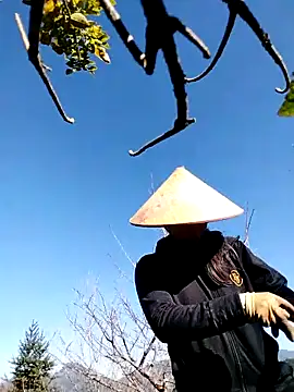 sumaybae online show from 11-30-25, 02:37