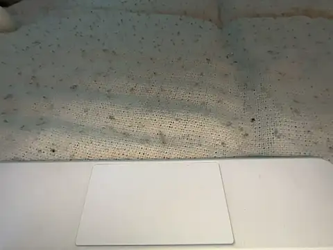 goddesemiiyy online show from 11-18-25, 06:34