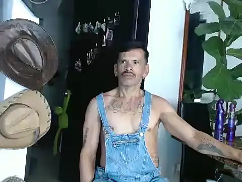 sweet day19 online show from 03-02-26, 06:14