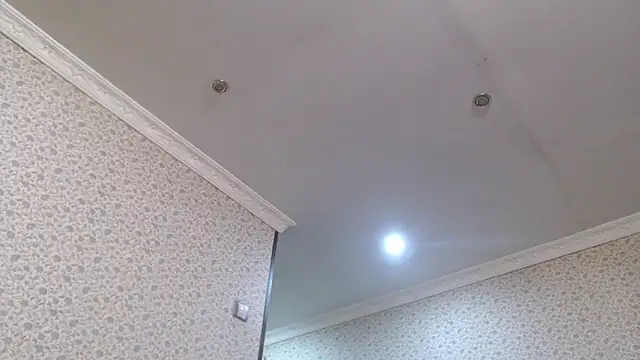 maybe doll online show from 10-21-25, 08:20