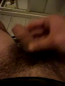 Theanimals online show from 11-05-25, 11:49