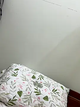 Snapshot of Ha_2660 chatting on 10-22-25, 10:15 Ha 2660 online show from 10-22-25, 10:15