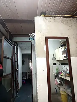 Snapshot of deseox05 chatting on 11-19-25, 04:51 deseox05 online show from 11-19-25, 04:51