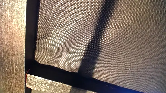 celeste solis online show from 11-24-25, 08:19