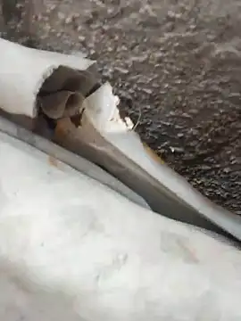 Snapshot of blackhot30 chatting on 10-12-25, 07:13 blackhot30 online show from 10-12-25, 07:13