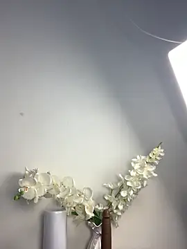 Snapshot of Candy_Brown69 chatting on 10-24-25, 12:01 Candy Brown69 online show from 10-24-25, 12:01