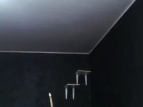 Snapshot of Liastark chatting on 11-30-25, 10:41 Liastark online show from 11-30-25, 10:41