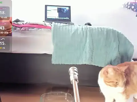 Snapshot of __Aragon__ chatting on 11-04-25, 02:38 Aragon online show from 11-04-25, 02:38