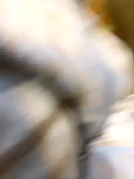  xiaoniaojiang online show from 10-15-25, 10:37