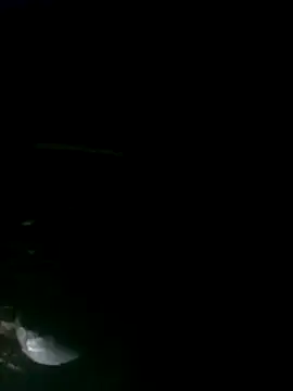 rasmi powar online show from 11-25-25, 07:47