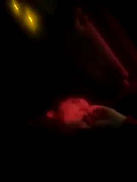 Snapshot of Butterfly8385 chatting on 12-19-25, 03:41 Butterfly8385 online show from 12-19-25, 03:41