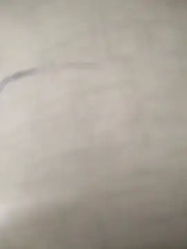 Snapshot of hotcouple79 chatting on 10-12-25, 04:55 hotcouple79 online show from 10-12-25, 04:55