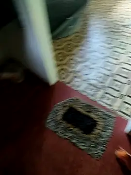 Shanudri77 online show from 11-05-25, 05:40