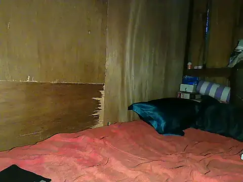 Snapshot of wildcat30 chatting on 11-01-25, 10:23 wildcat30 online show from 11-01-25, 10:23