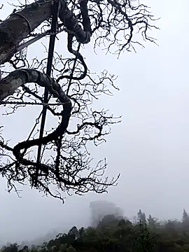 siusiu-00 online show from 11-01-25, 01:07