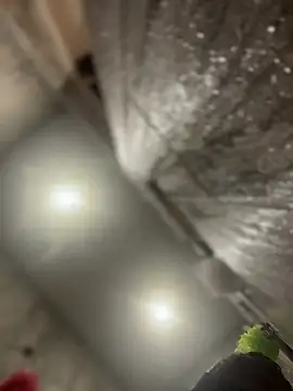 Snapshot of queenkelly1234 chatting on 02-16-26, 12:56 queenkelly1234 online show from 02-16-26, 12:56