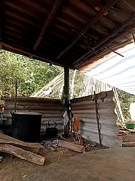 -Kem-01 online show from 02-26-26, 05:17