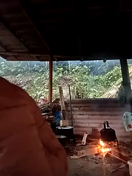 -Kem-01 online show from 03-11-26, 11:44