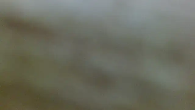 Axel Stones  online show from 11-21-25, 01:21